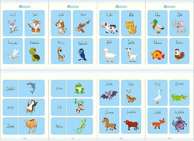 Arabic Magic Reusable Copybook Set: 4-in-1 Calligraphy & Math Practice Kit مجموعة الكتب السحرية 4 في 1 لتعلم الكتابة والخط العربي القابلة لإعادة الاستخدام